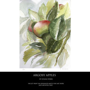 ARGOSY APPLES Fine Art Print